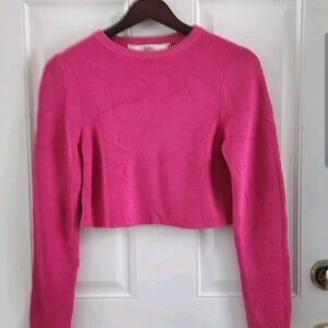 Label Ritu Kumar Hot Pink Ribbed Crew Neck Cropped Top Long Sleeves Women Size L